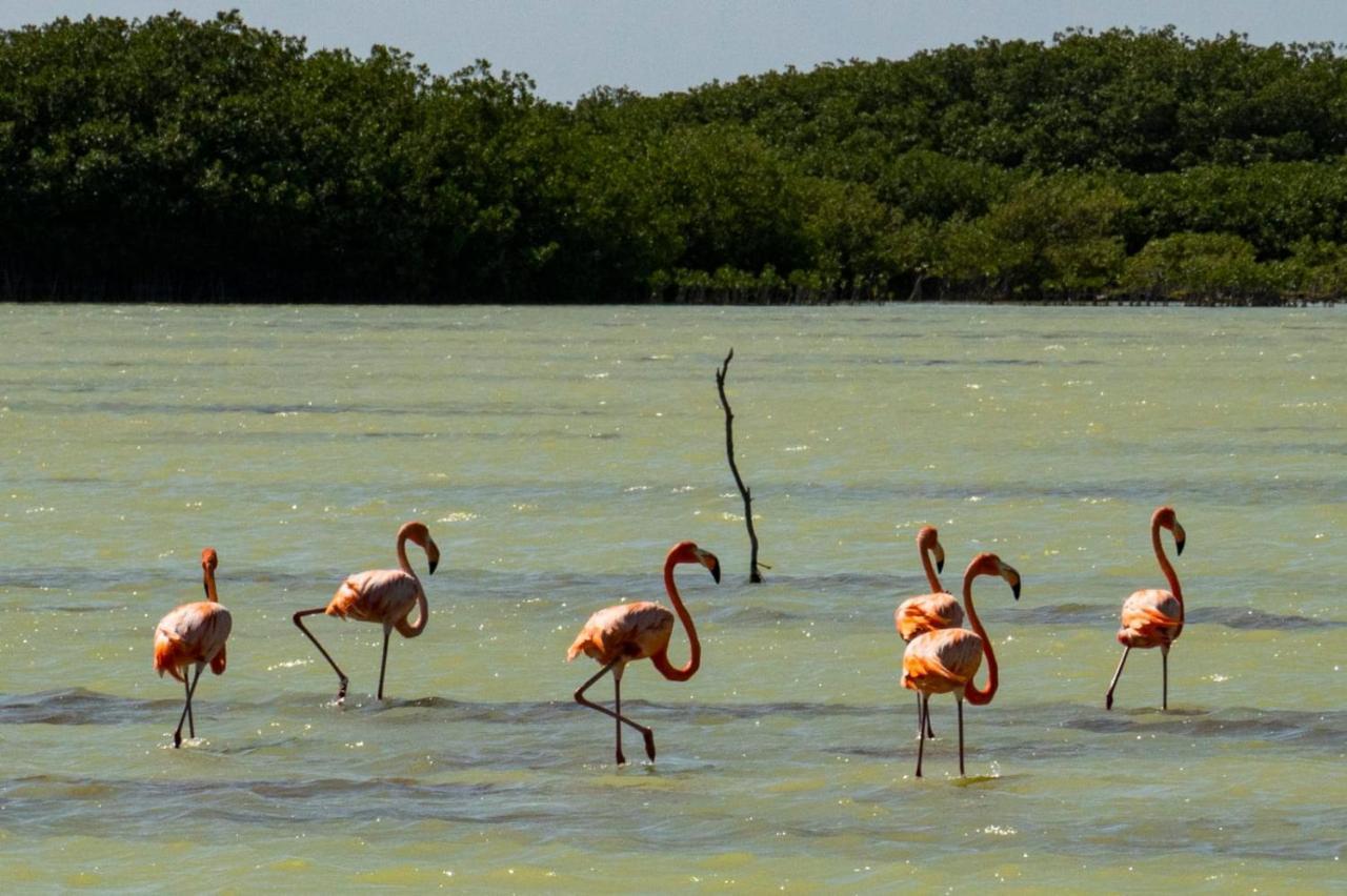 El Aplatanao Hotel Pedernales Kültér fotó